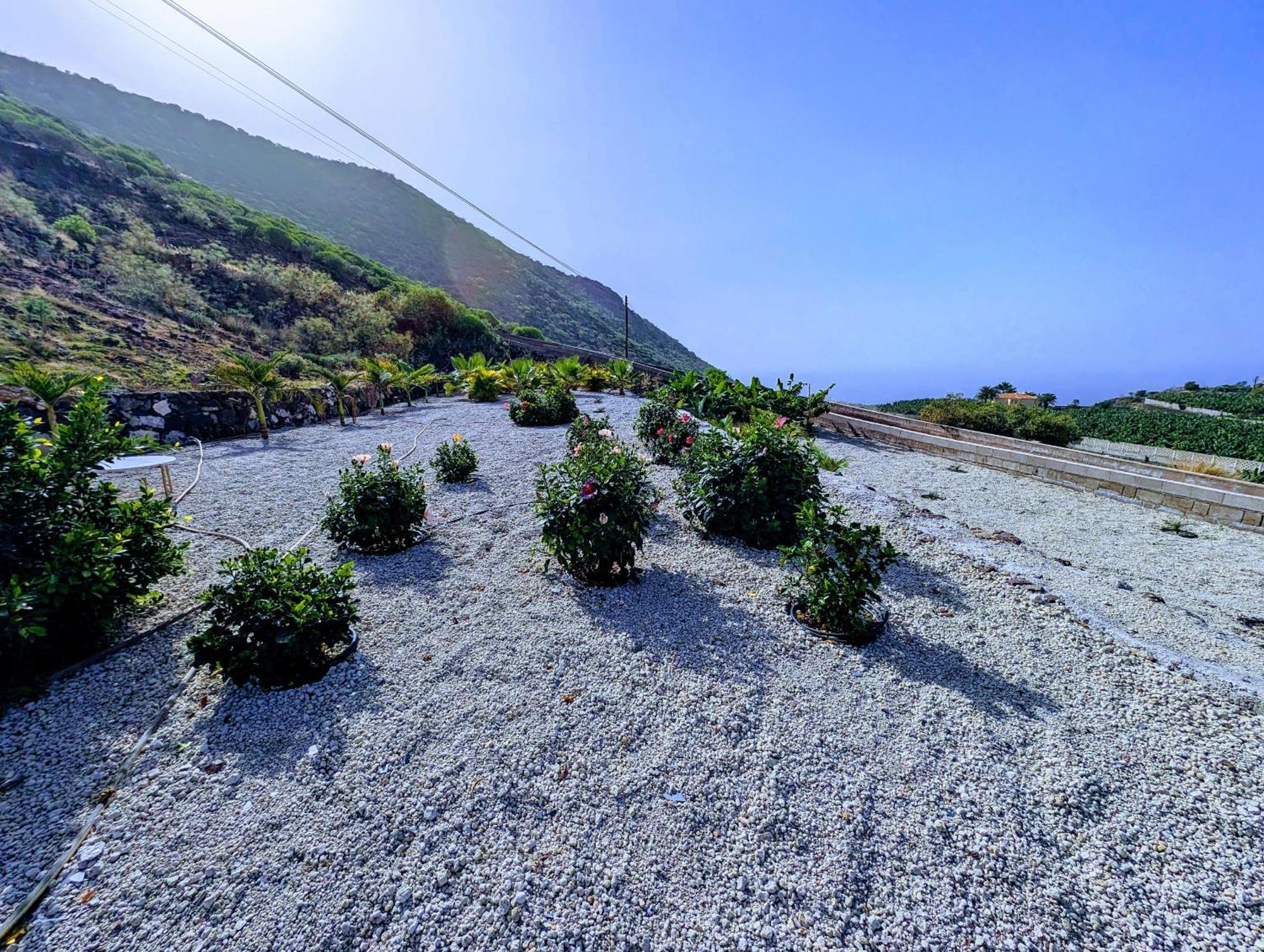Cliff Haven Sea View Apartment - Adults Only Santiago del Teide Eksteriør billede